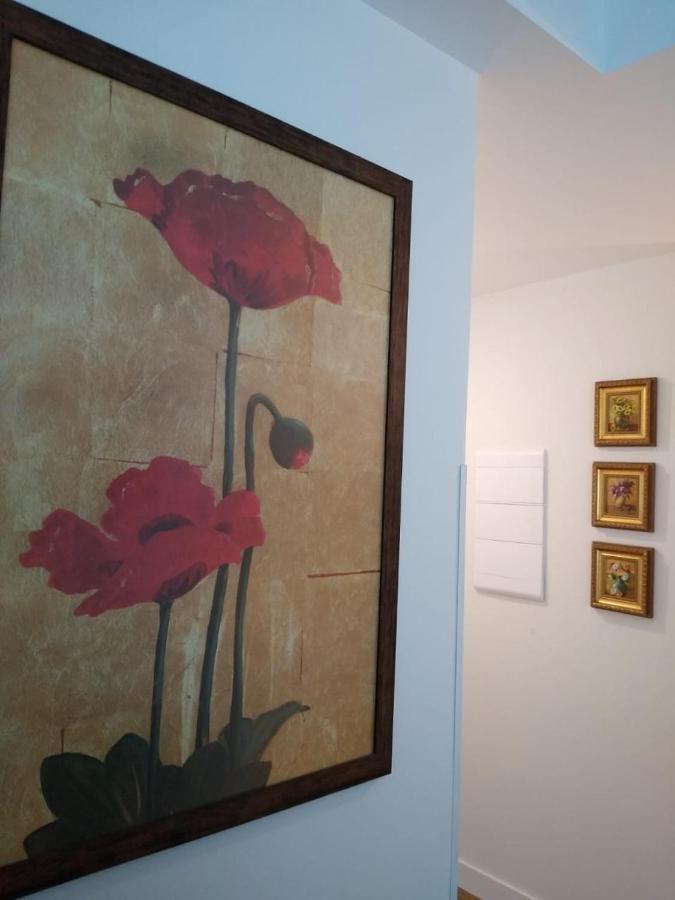 Apartament Apartamento Giardino Araucaria 301 Canela Zewnętrze zdjęcie