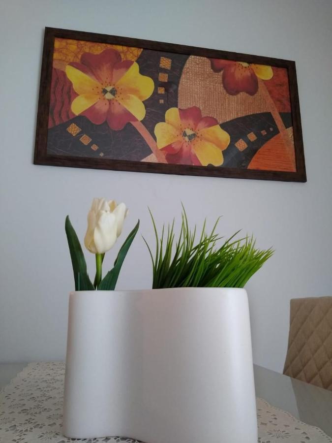 Apartament Apartamento Giardino Araucaria 301 Canela Zewnętrze zdjęcie